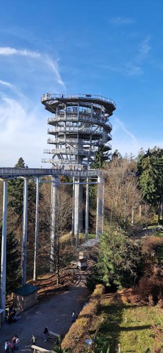 Pools, Sauna Und Balkon Mit Panoramablick Sankt Englmar Bagian luar foto