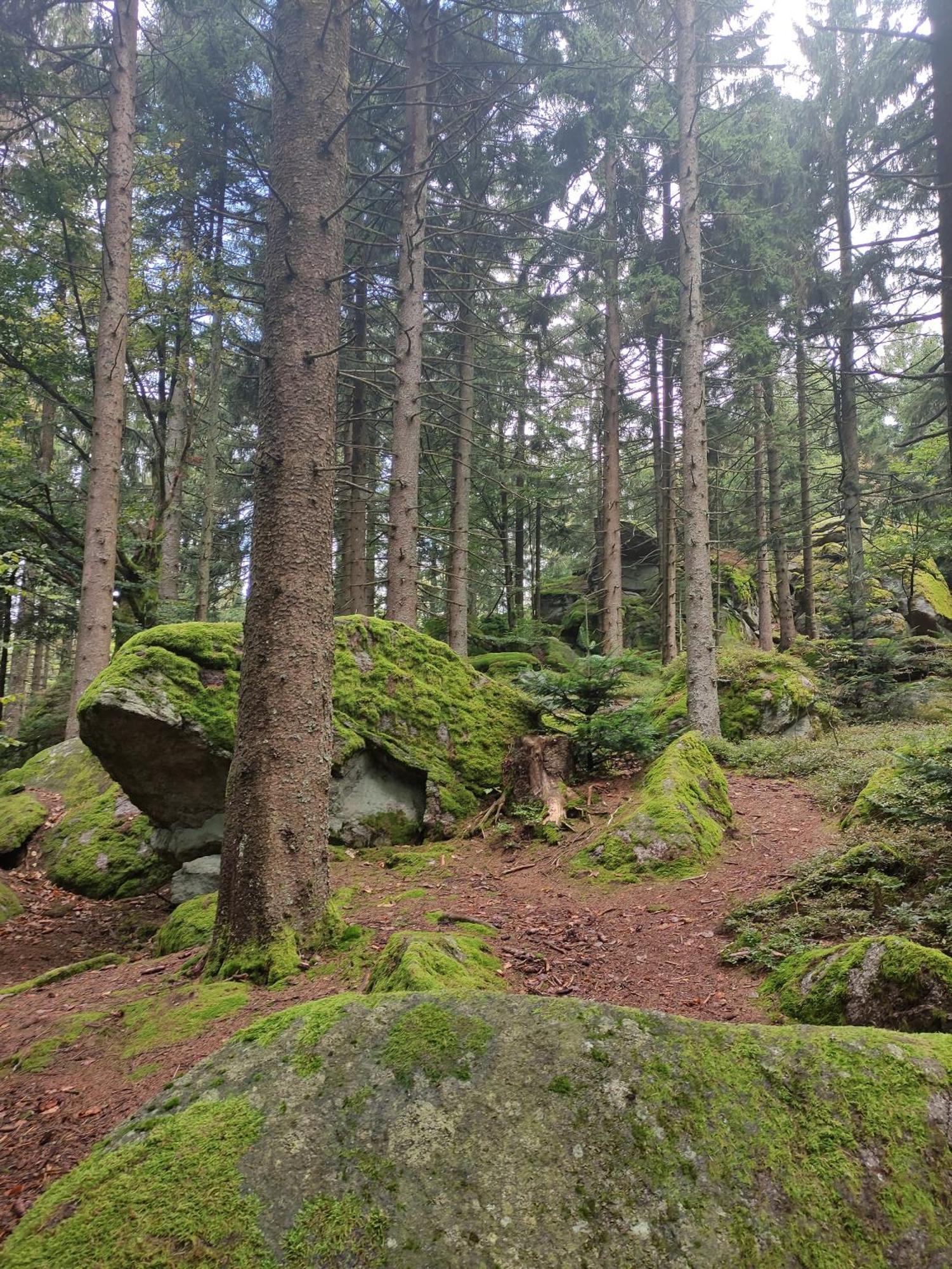 Pools, Sauna Und Balkon Mit Panoramablick Sankt Englmar Bagian luar foto